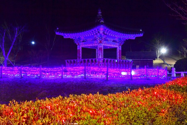 사진 = 장성군 홍길동 테마파크가 확 달라진 야경으로 새롭게 각광받고 있다